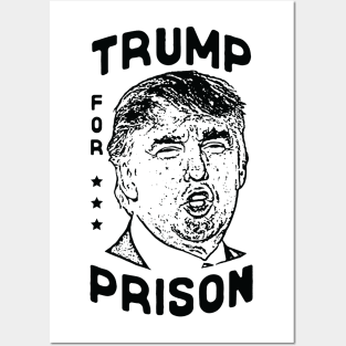 Trump for Prison Posters and Art